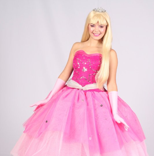 Só Barbie: Barbie Escola de Princesa, Barbie Natal Perfeito e Outras