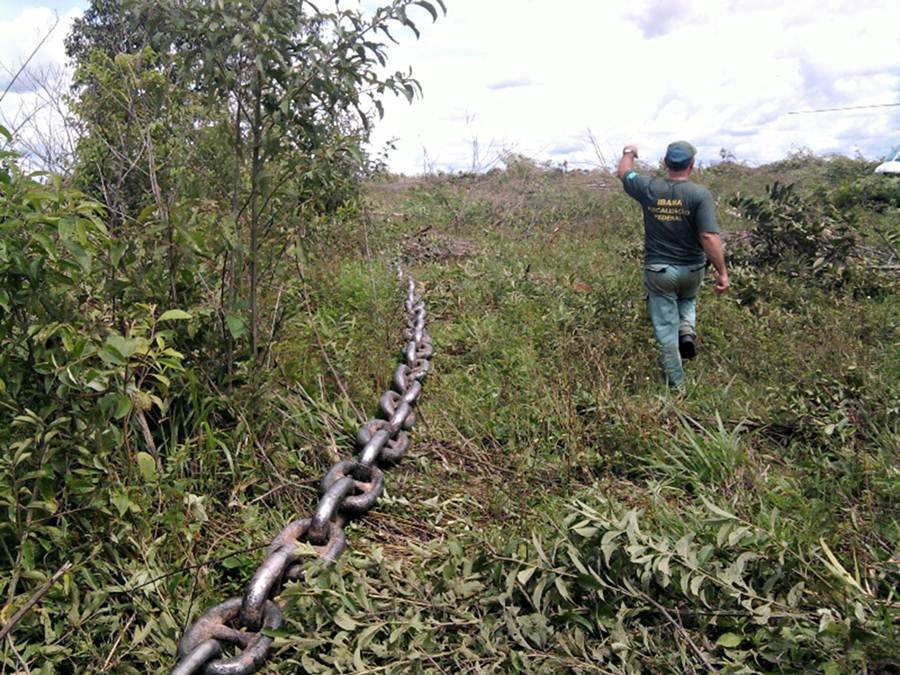 União cobra R$ 3,8 bilhões em multas por desmatamento desde 2019