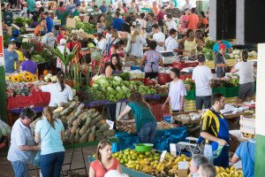 Feira do Ceasa: SIA Trecho 10