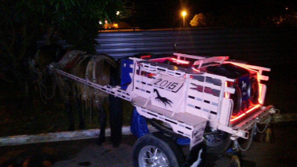 Trio detido após matar cavalo para comer no litoral norte - MZL10