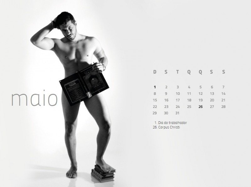 calendário bibliotecários