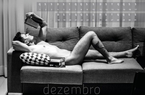 calendário bibliotecários