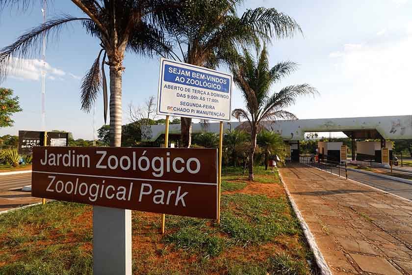 Jardim Zoológico de Brasília - Brasília - DF 10/11/2015