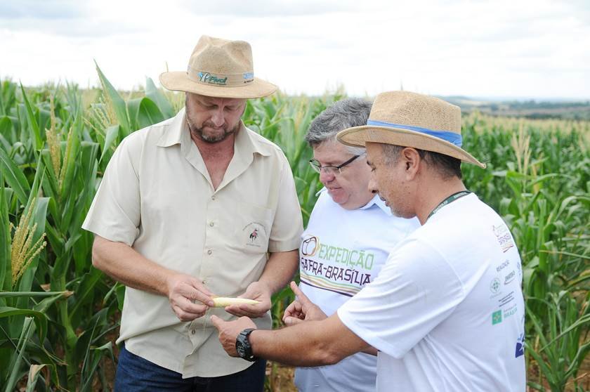 Agricultura faz diagnóstico da produção de milho na capital