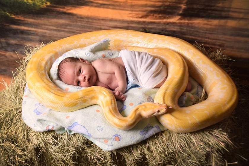 Fotógrafo publica ensaio de bebê com uma cobra e causa 