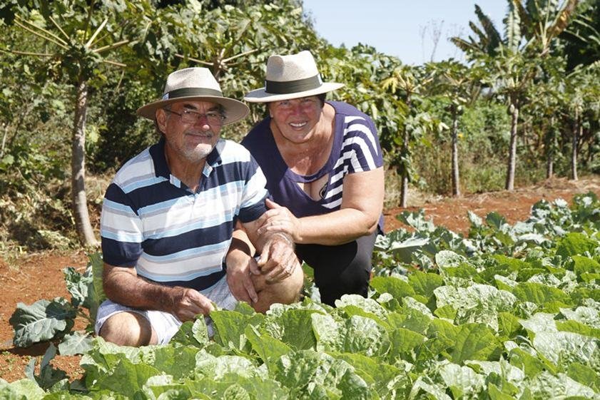 melhores frutas pra farm｜Pesquisa do TikTok