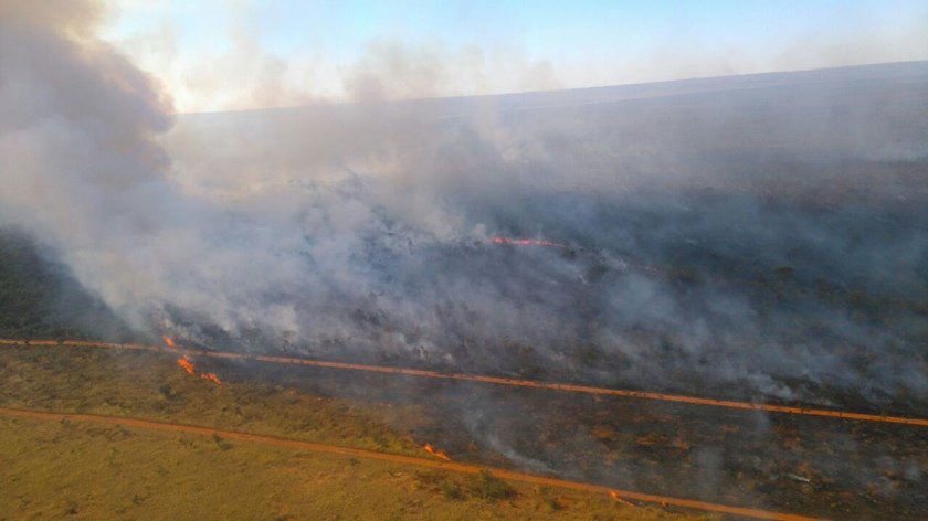 incêndio floresta nacional de brasília