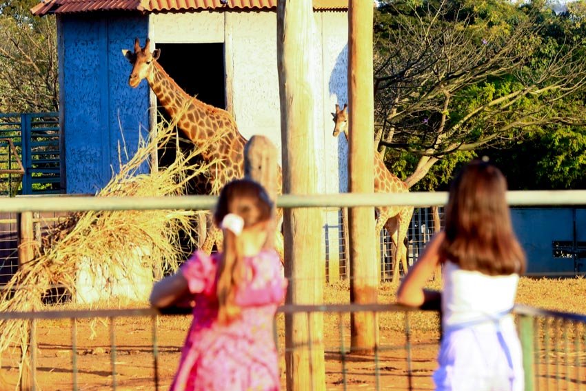 Zoológico de Brasília