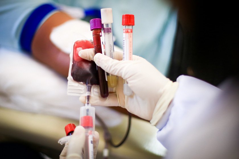 hemocentro – doação de sangue