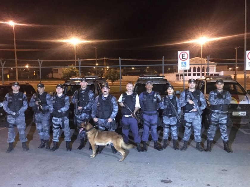 cão farejador, polícia militar