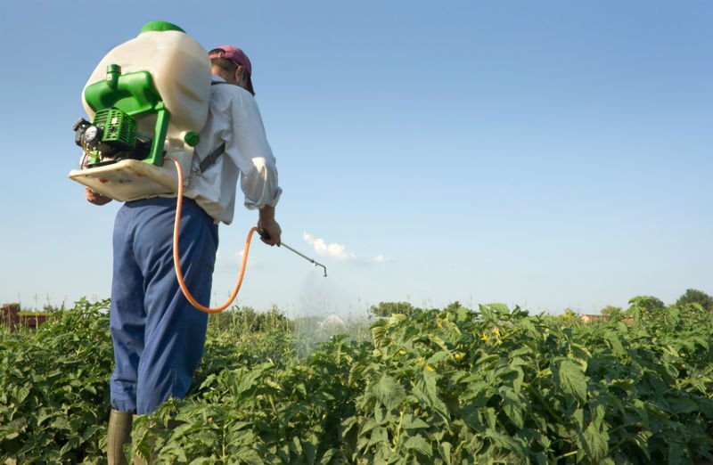 Imagem colorida de trabalhador rural aplicando agrotóxico