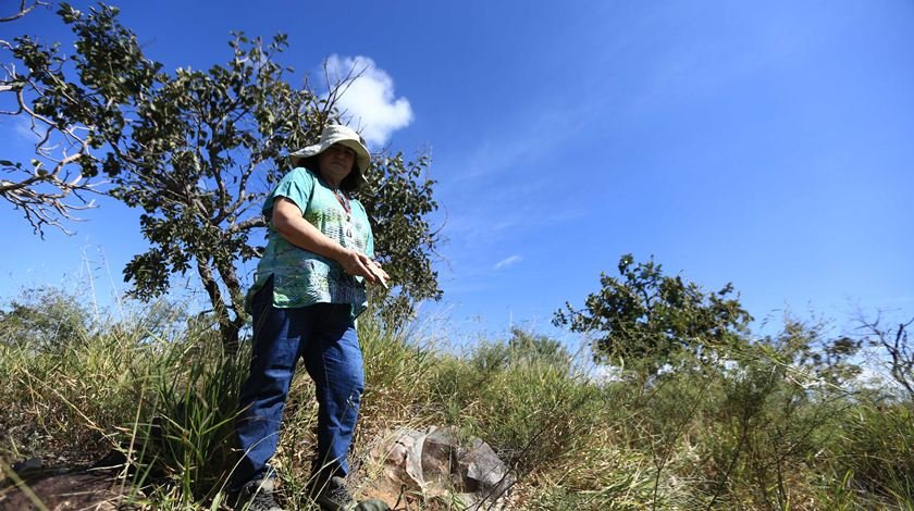 Sítio arqueológico de Brasília