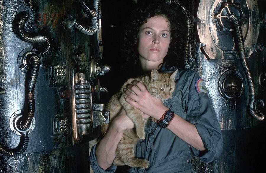 Aliens, o Resgate”, 30 anos depois: um filme de ação perto do