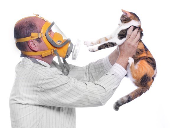 Allergy to animal.