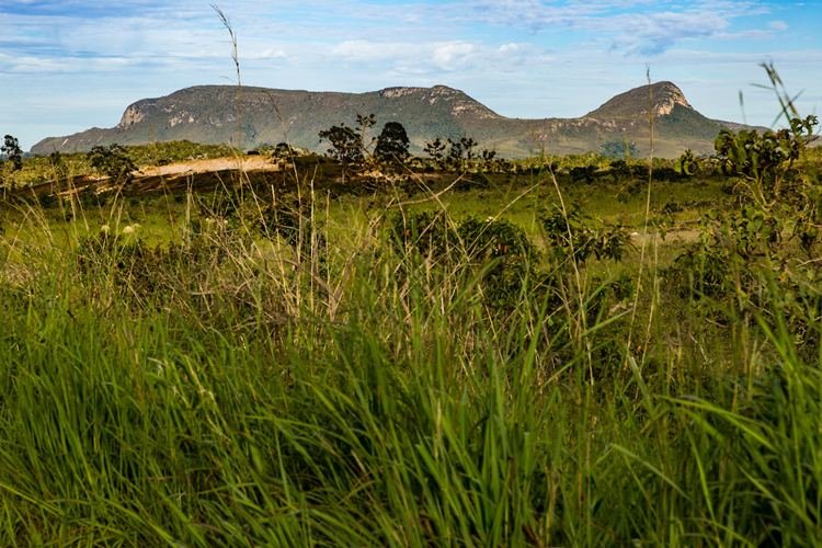 Morro da Baleia, na Chapada dos Veadeiros (GO)