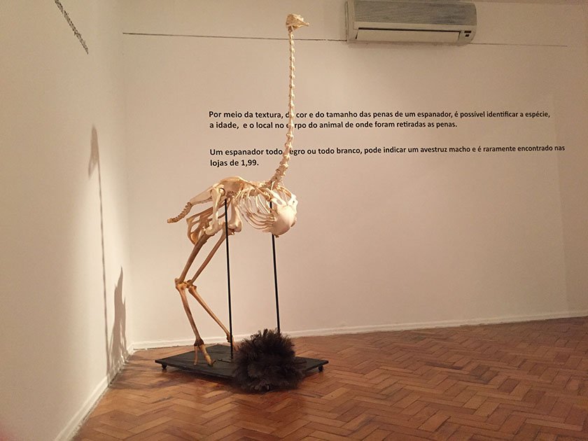terceira-gal-41