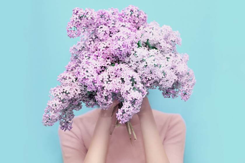 primavera, flores