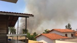 Incêndio em área ambiental assusta moradores do Jardim Botânico