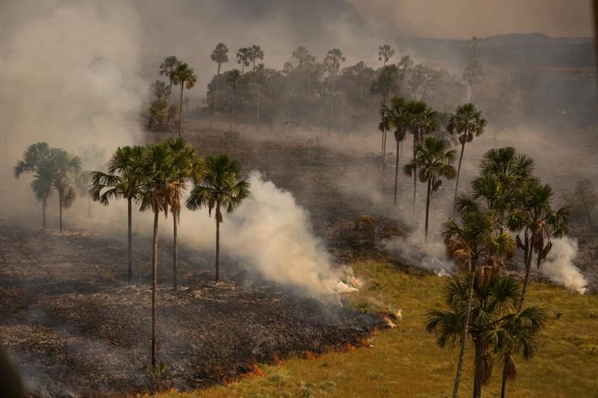 https://uploads.metropoles.com/wp-content/uploads/2017/10/27191227/Incendio-eded-840x560.jpg