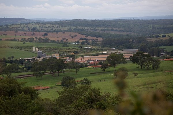 asfalto na fazenda de Liliane Roriz