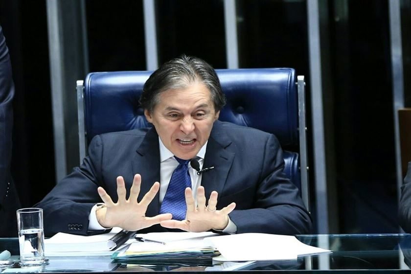 Rafaela Felicciano Metrópoles