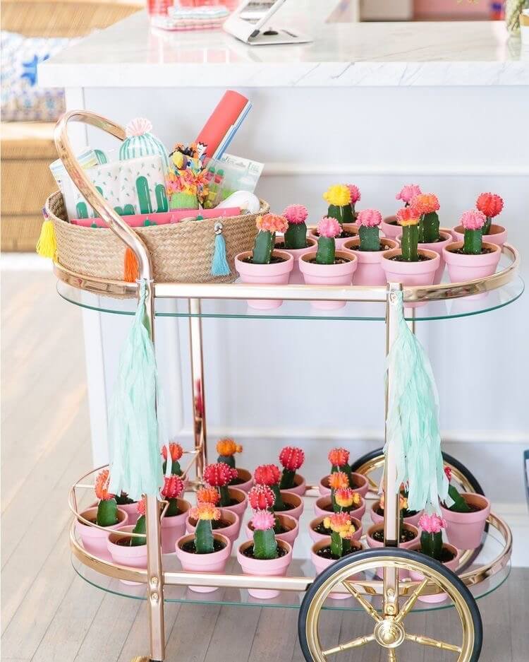 IMG_4229.bella-fiore-festas-infantis-tema-tendencia-2018-decoracao-lhama-cactos-deserto-frutas
