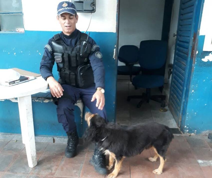PMDF/Divulgação