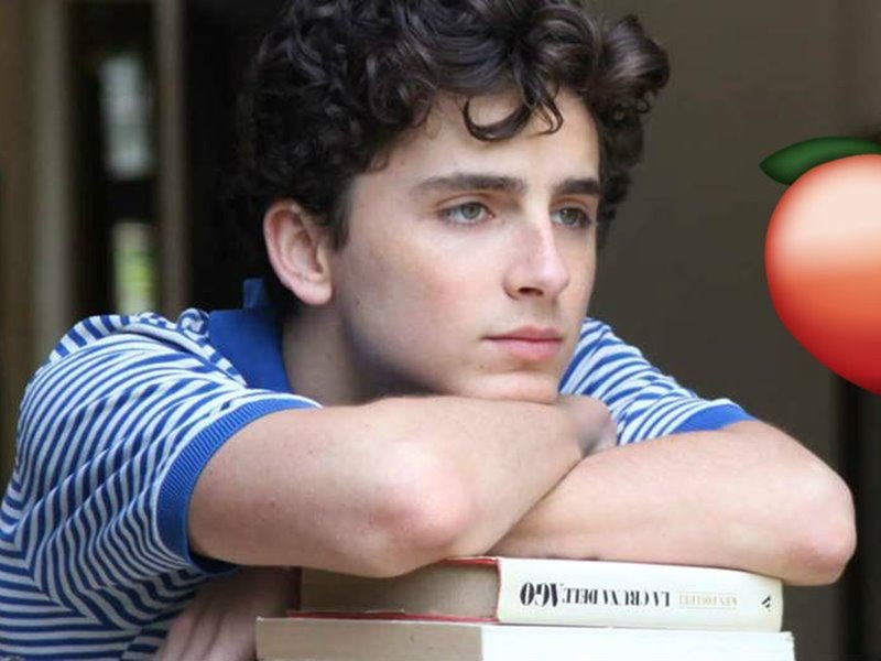 Timothée Chalamet;