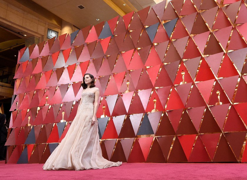 Confira os looks das celebridades no tapete vermelho do Oscar 2018