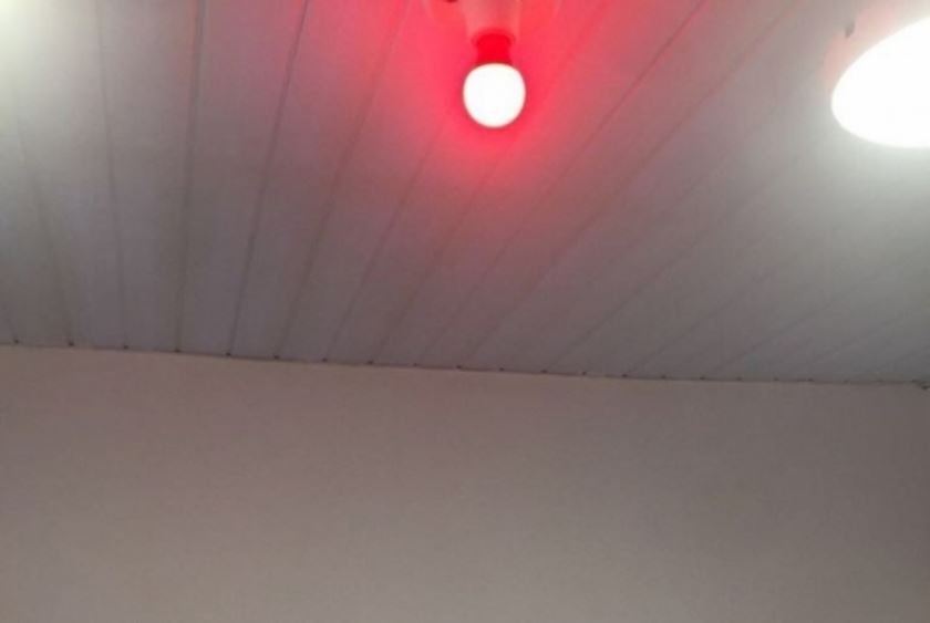 1_benfica_1_luz_vermelha-6036860
