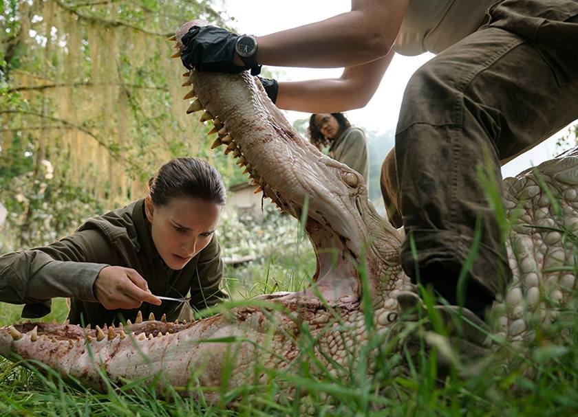 Cinco filmes de ação com mulheres no comando para assistir na Netflix