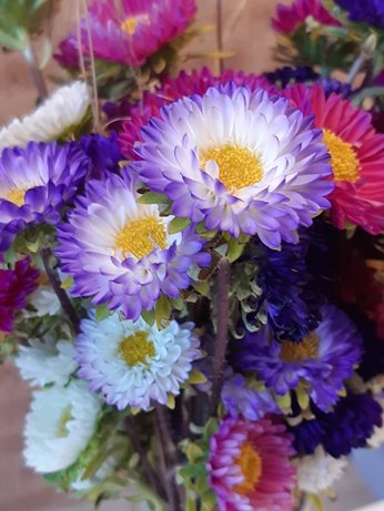 Flores - cores
