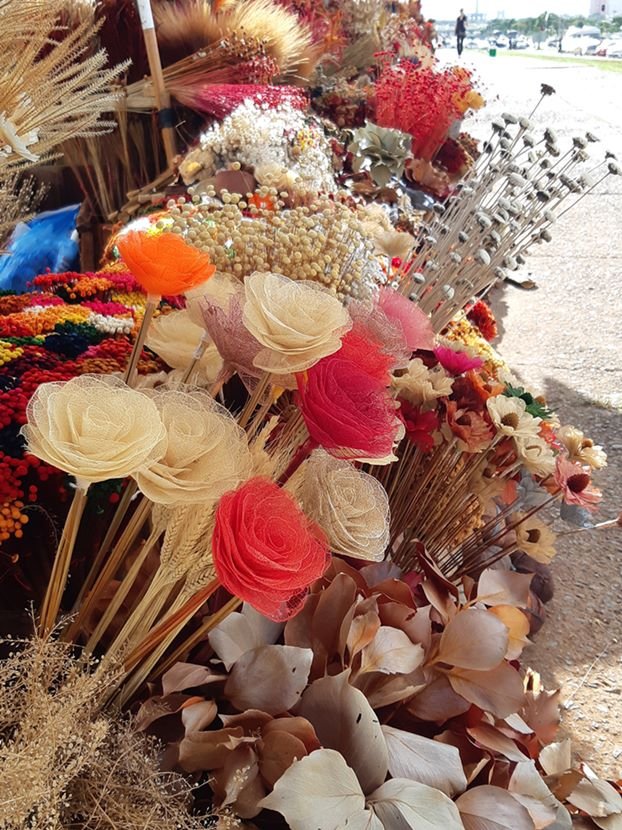 Flores - resoluçã
