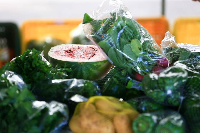 Feira de organicos no Senado