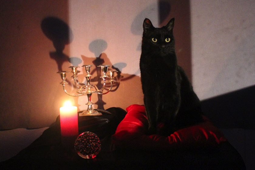 salem novo cred rep do twitter writerRAS