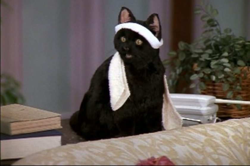 salem velho cred reprodução