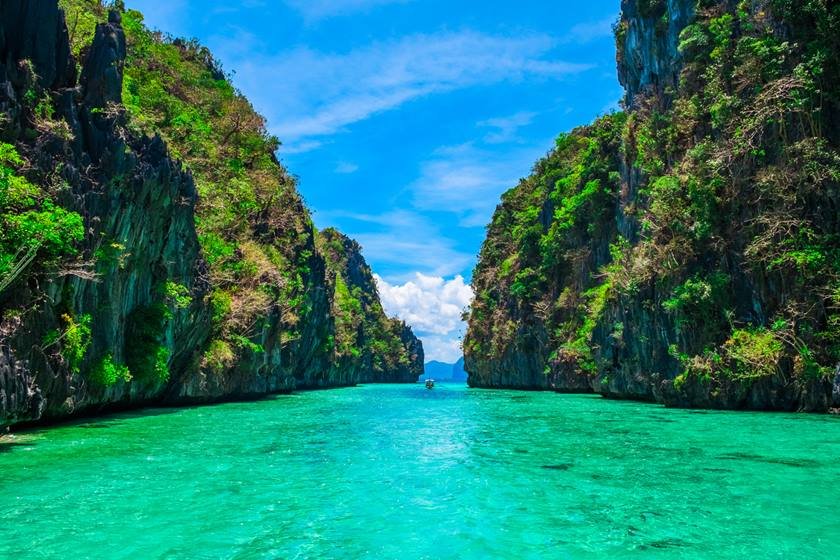 Tropical landscape