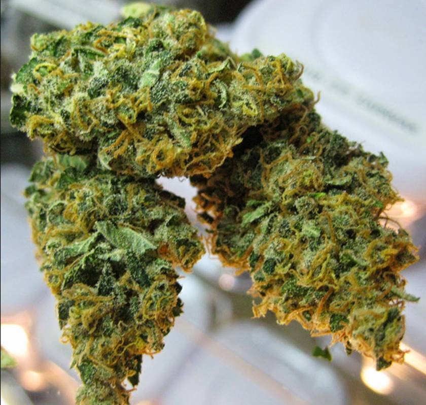 Pineapple skunk strain