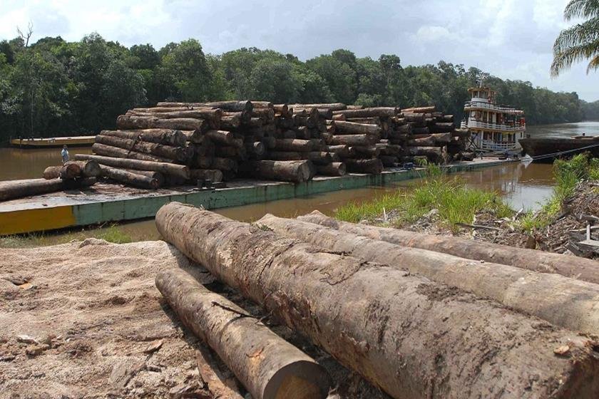 Desmatamento ilegal na Amazônia