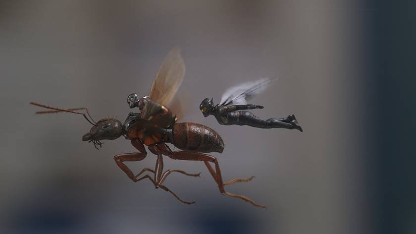homem formiga e a vespa12