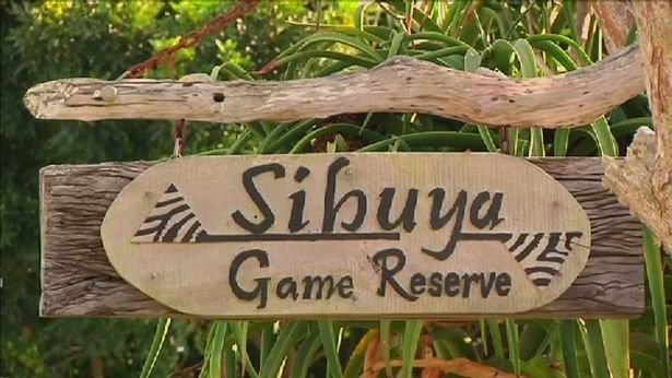 Gang-of-poachers-broke-into-South-African-game-reserve-to-slaughter-rhinos-attacked-and-EATEN-by-pri2