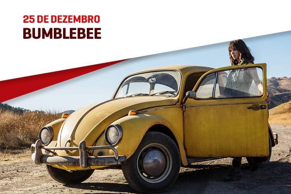 29-Bumblebee