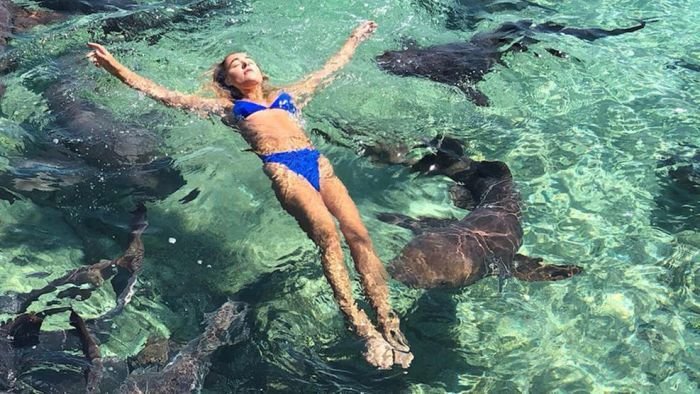 photoshoot-with-sharks-went-wrong-04