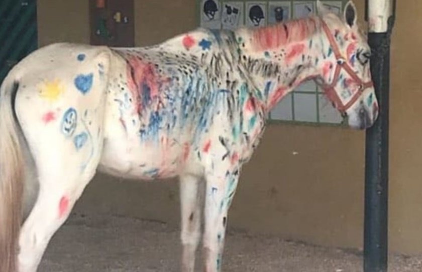 Desenho de Corrida de cavalos pintado e colorido por Usuário não