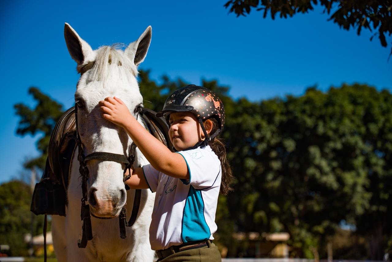 DF1  Cavalo é pintado com tinta durante atividade na Hípica de