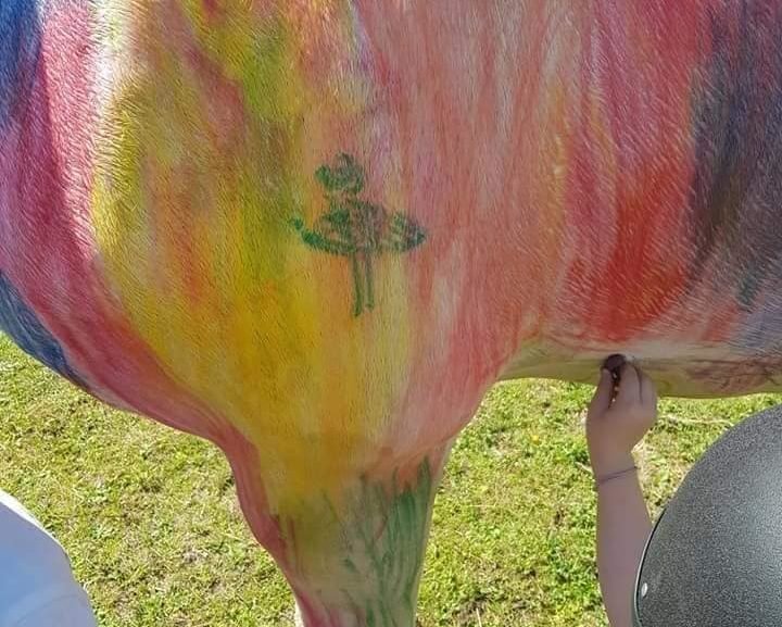 Ibama vê 'abuso' a cavalo pintado por crianças e adverte Hípica de Brasília, Distrito Federal