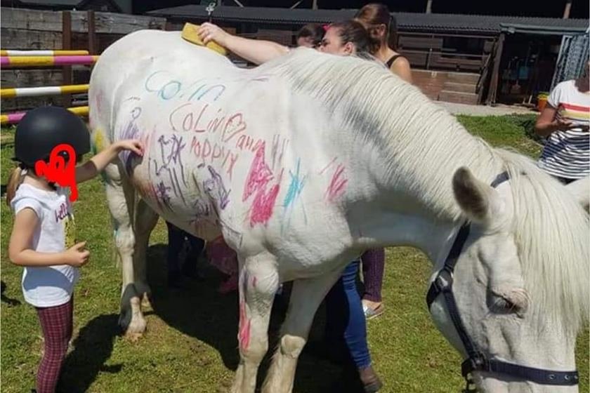 Ibama vê 'abuso' a cavalo pintado por crianças e adverte Hípica de Brasília, Distrito Federal