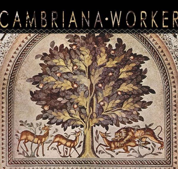 cambriana worker