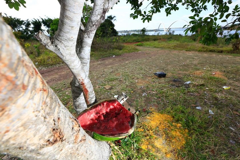 DF na real - desobstrução da orla do Lago Paranoá