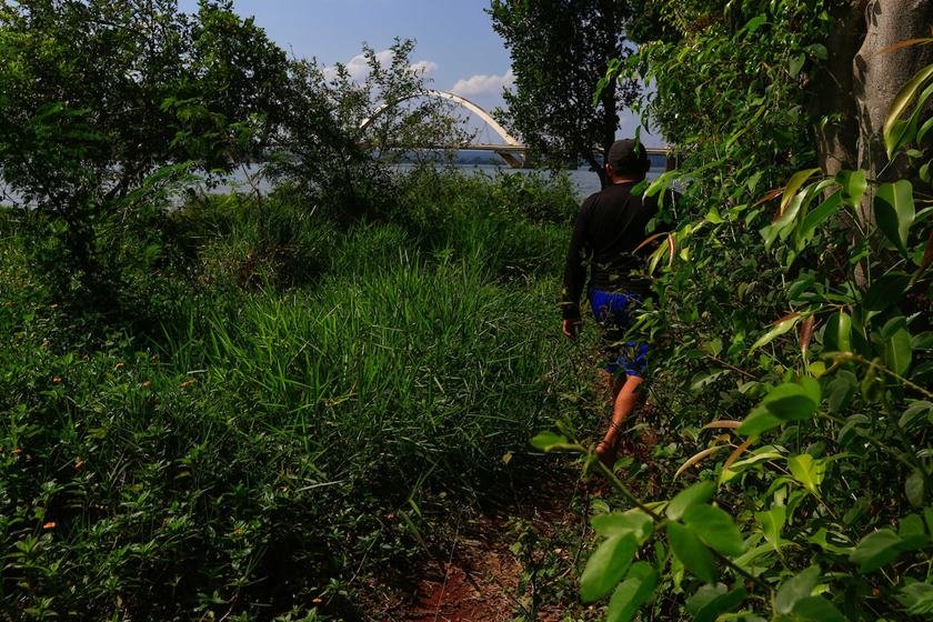 DF na real - desobstrução da orla do Lago Paranoá